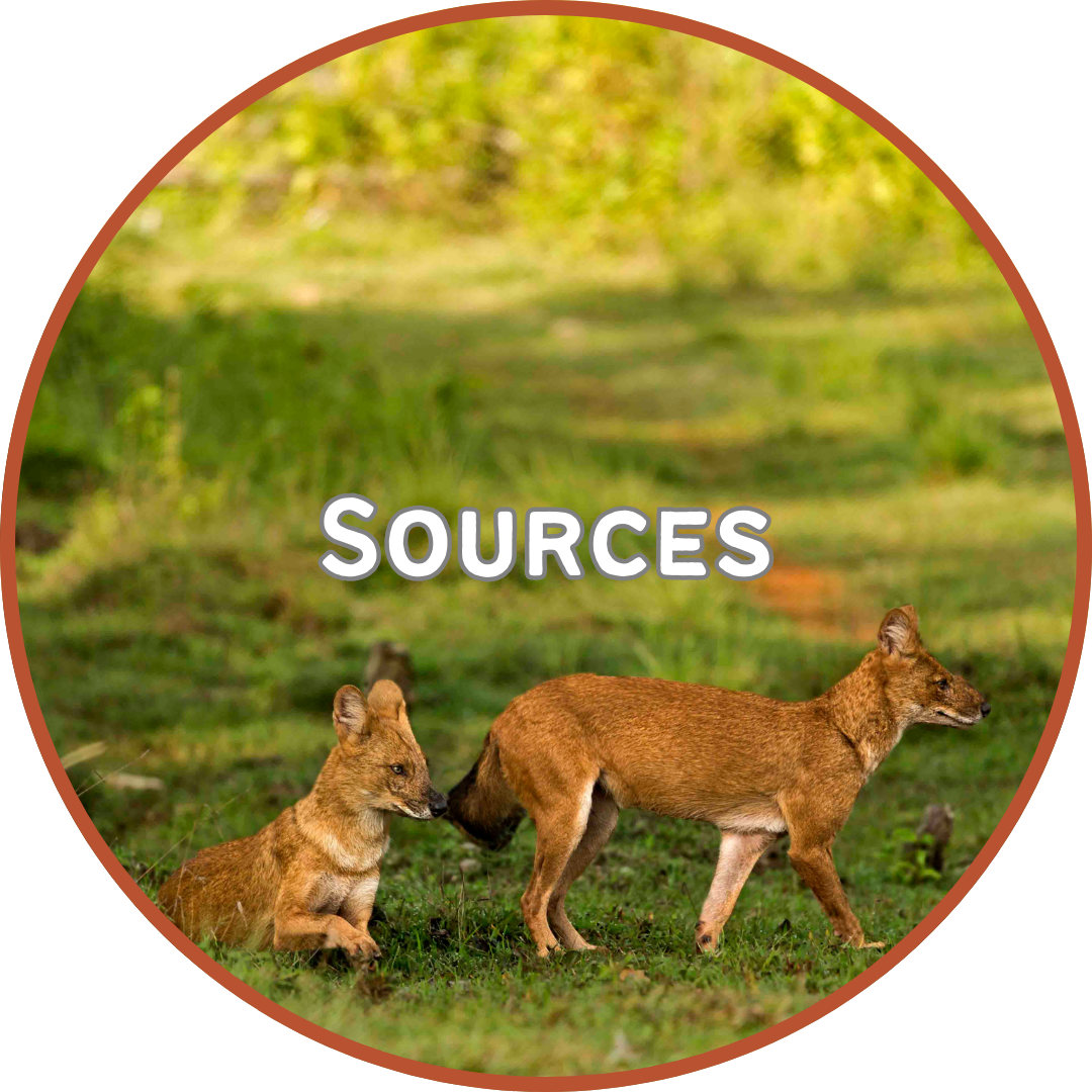 action button for going to the sources page