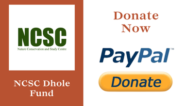 Donate button for dhole working group 