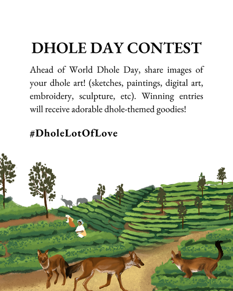 World Dhole Day art contest anouncement  