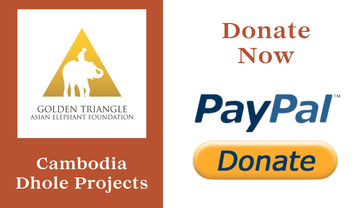Donation Button for Cambodia