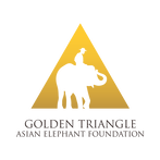 Gold Triangle Asian Elephant Foundation logo