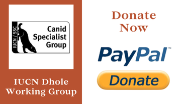 Donate Button for Dhole Working Group