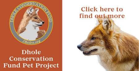 Button for Dhole Conservation Fund Pet Project
