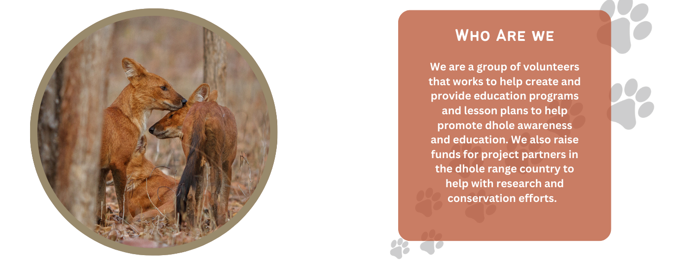 Info Graphic that readds Who Are We We are a group of volunteers that works to help create and provide education programs and lesson plans to help promote dhole awareness and education. We also raise funds for project partners in the dhole range country to help with research and conservation efforts.  