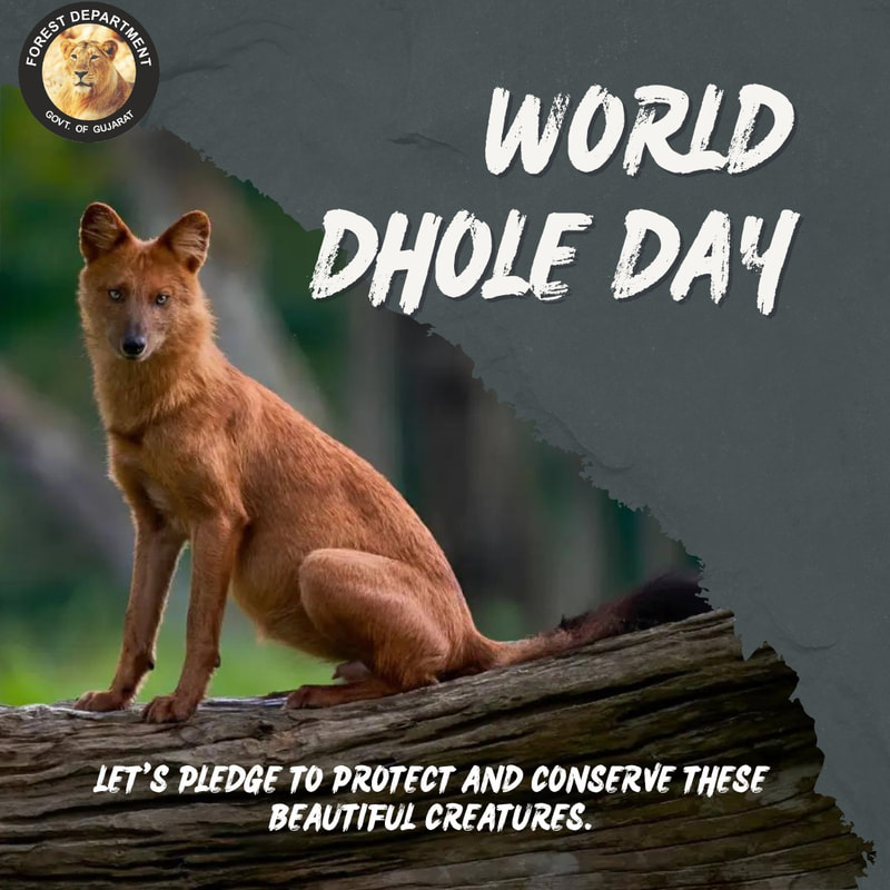 World Dhole Day info