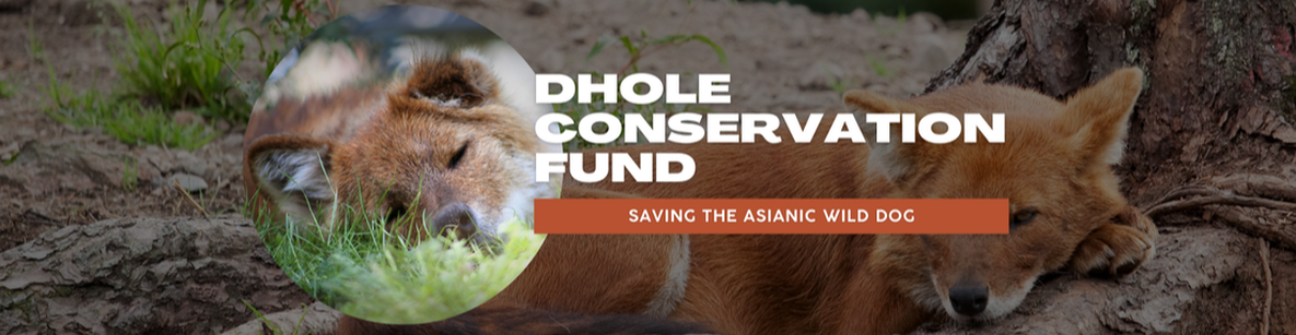 Dhole Conservation Fund banner