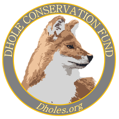 Dhole Conservation Fund logo