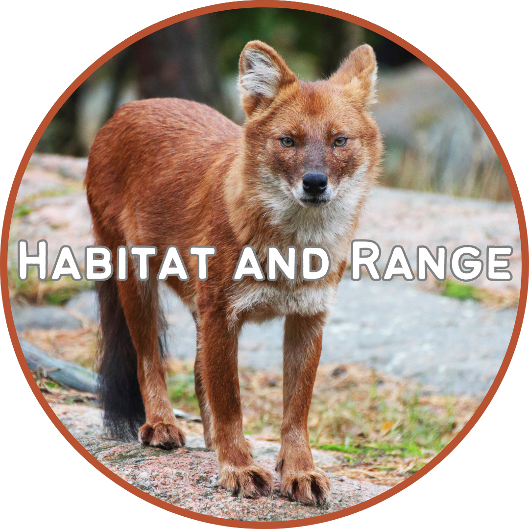 Button to go to Habitat and Range Page
