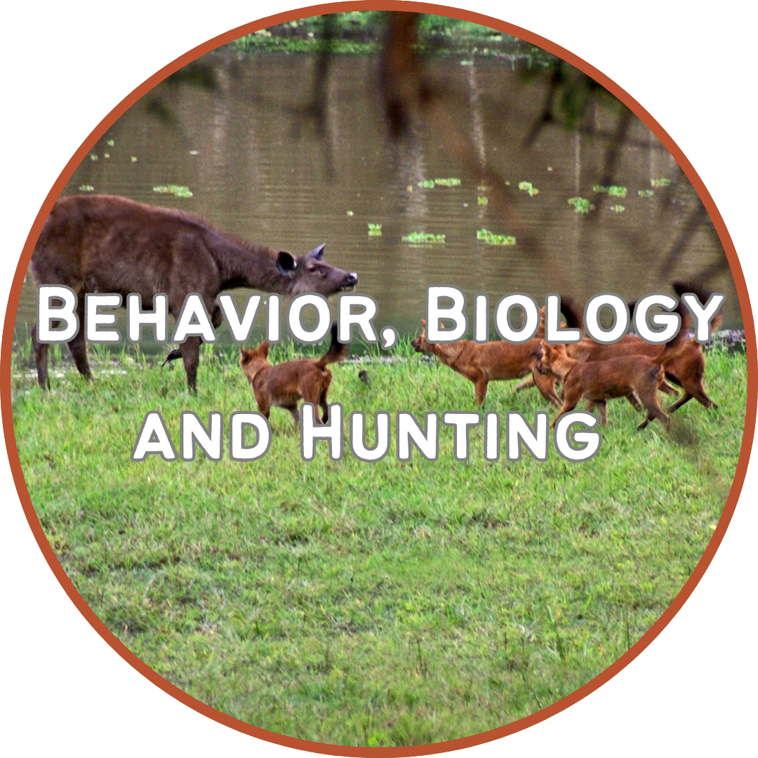 button to the Behavior, Biology and Hunting Page