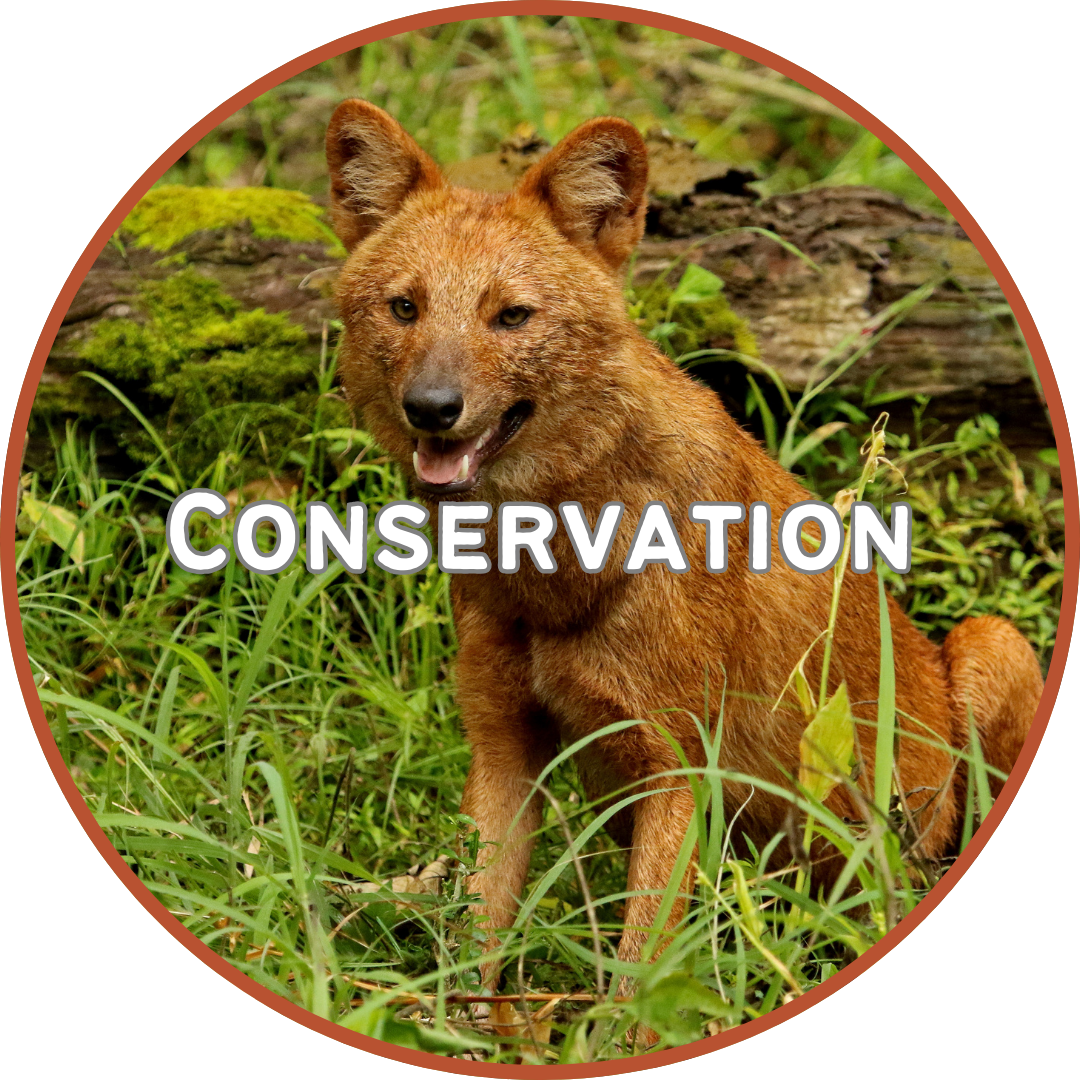 Button to conservation page